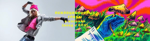 прущие грибы Горняк