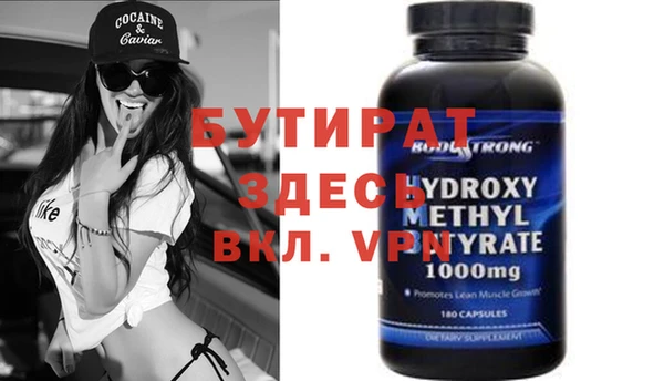 прущие грибы Горняк