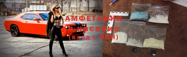 прущие грибы Горняк