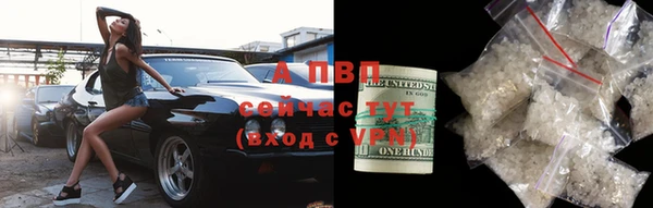 прущие грибы Горняк