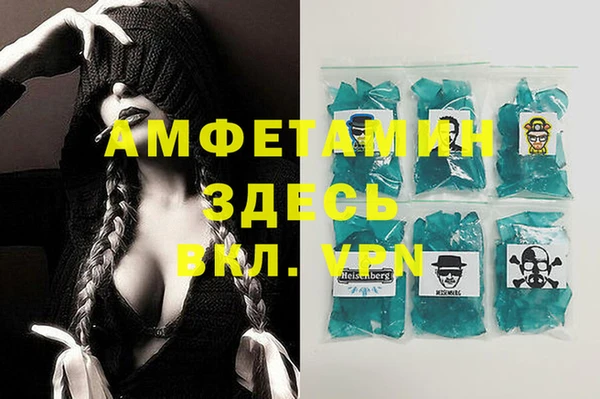 прущие грибы Горняк