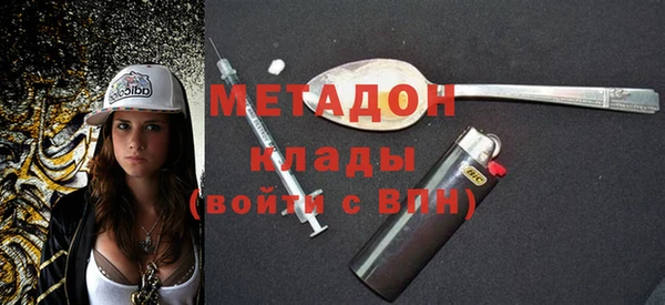 прущие грибы Горняк