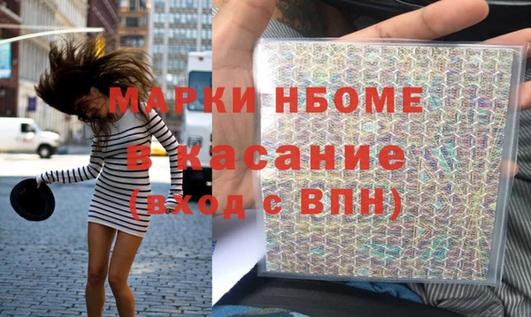 прущие грибы Горняк
