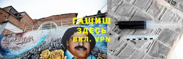прущие грибы Горняк