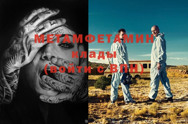 прущие грибы Горняк