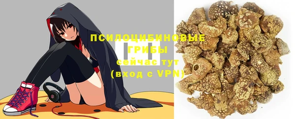 прущие грибы Горняк