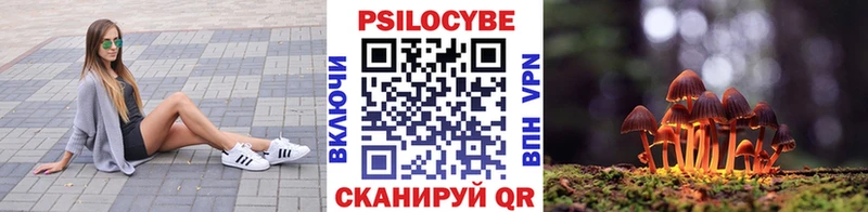 Псилоцибиновые грибы Magic Shrooms Купить Приморско-Ахтарск
